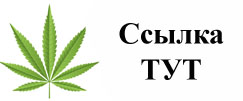 Купить наркотики в Жуковском